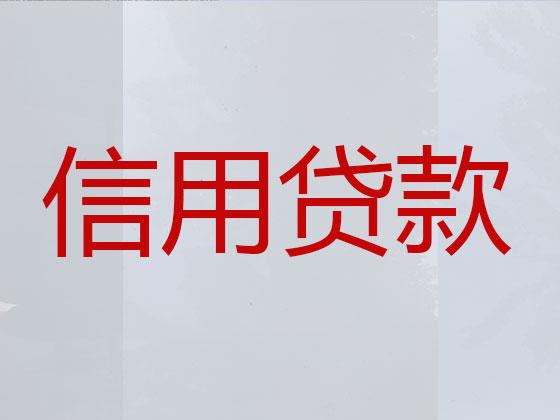 大石桥市信用贷款